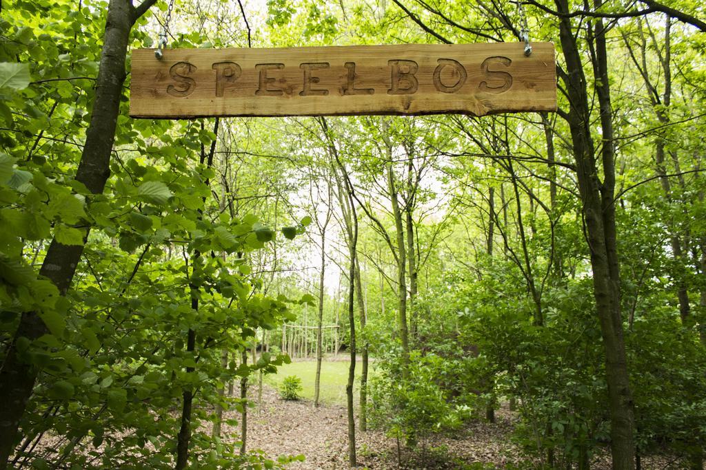 Pipowagen Camping Puur Genieten Bed and Breakfast Someren Habitación foto